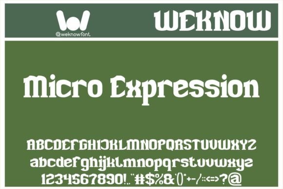 Unleash Creativity with Microexpression: A Playful Yet Sophisticated Slab Serif Font